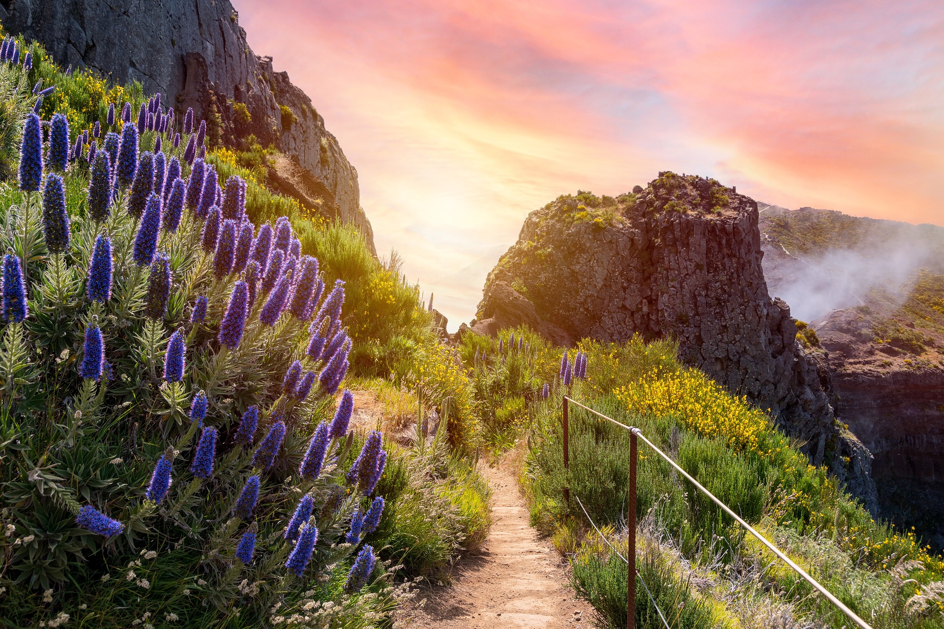 nature-g224e63376_1920.jpg